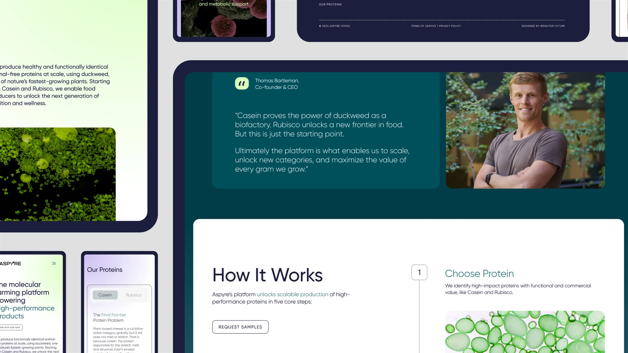 Aspyre site sections on desktop and mobile