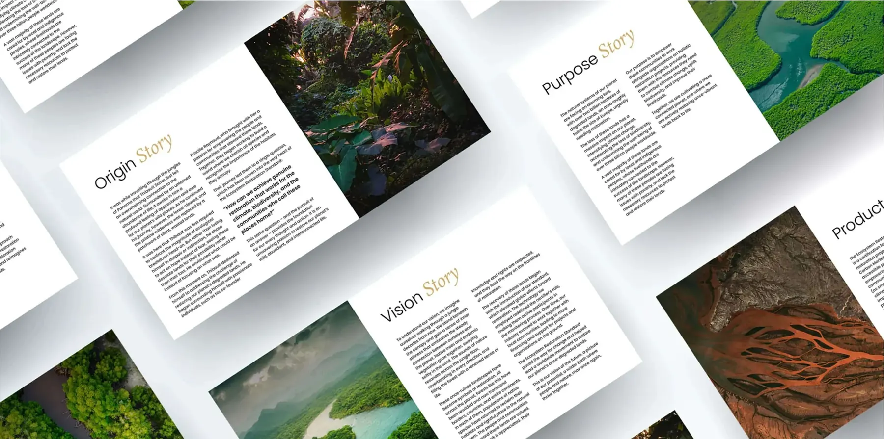 Ecosystem Restoration Standard, story
