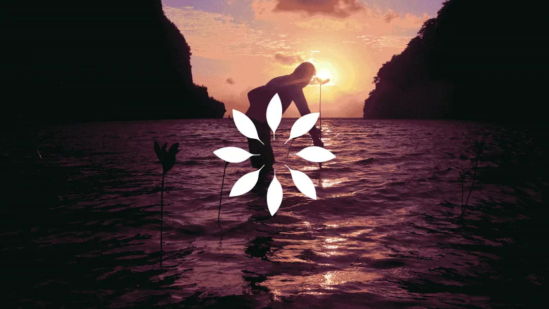 The mark over a coastal dusk scene