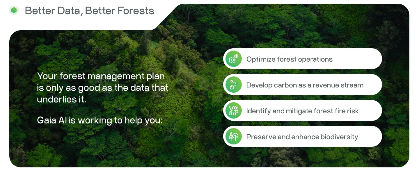 The Better Data, Better Forests section