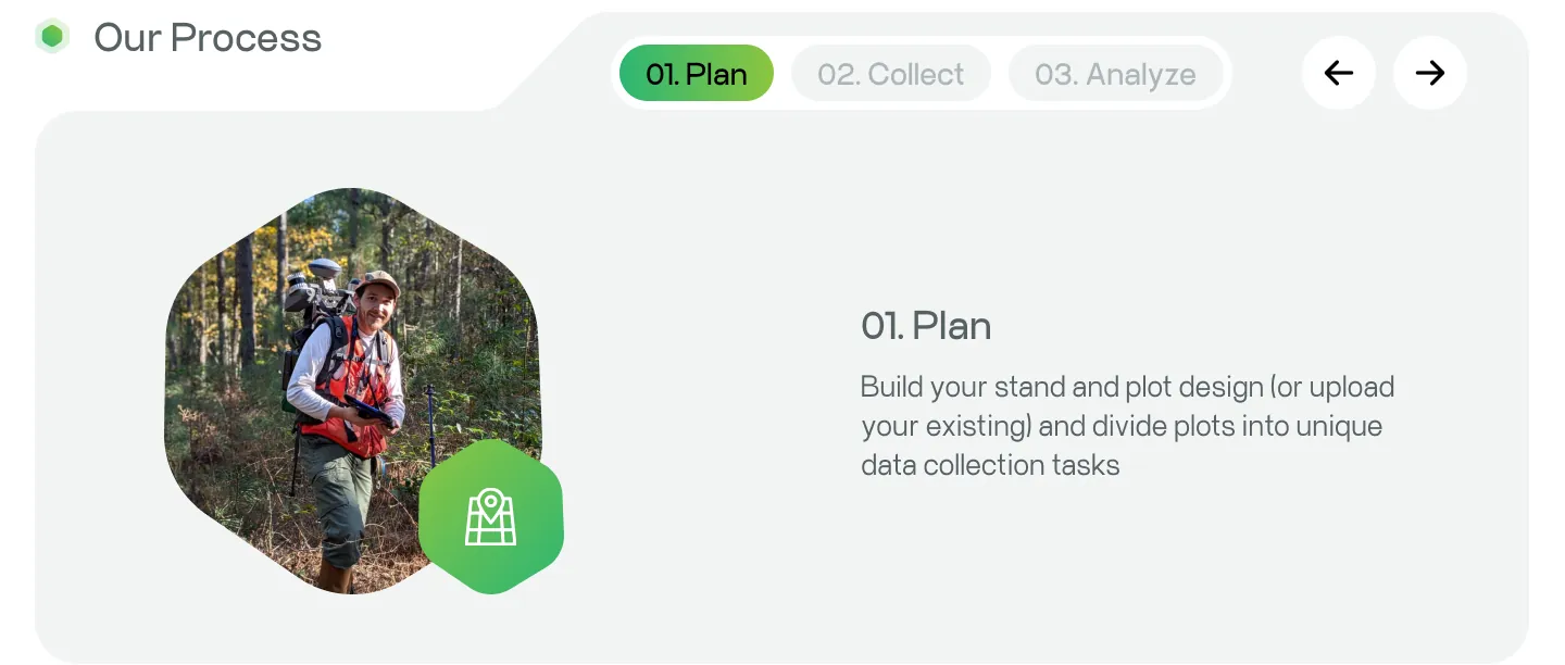 The Our Process section