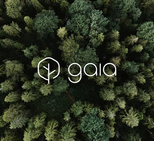 Gaia AI project imagery
